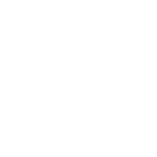 Fast API